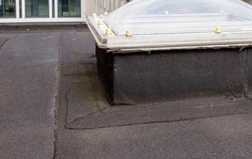disadvantages of Culduie flat roofs