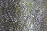 Culduie fibreglass roof work